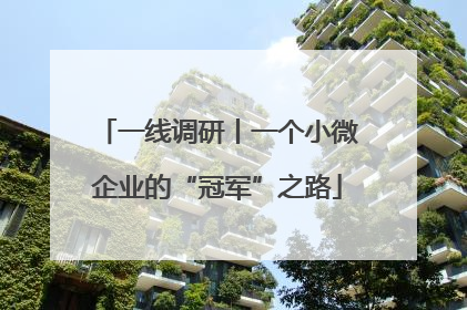 一线调研丨一个小微企业的“冠军”之路