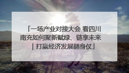 一场产业对接大会 看四川南充如何聚新赋绿、链享未来｜打赢经济发展翻身仗