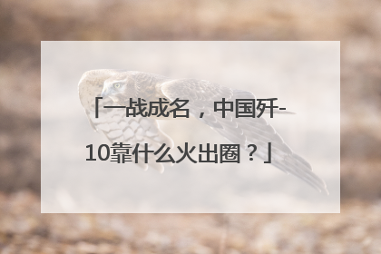 一战成名，中国歼-10靠什么火出圈？