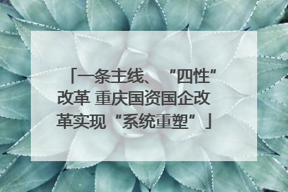 一条主线、“四性”改革 重庆国资国企改革实现“系统重塑”