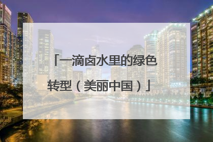 一滴卤水里的绿色转型（美丽中国）