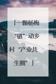 一颗杨梅“链”动乡村“产业共生圈”