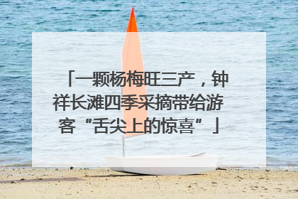 一颗杨梅旺三产，钟祥长滩四季采摘带给游客“舌尖上的惊喜”