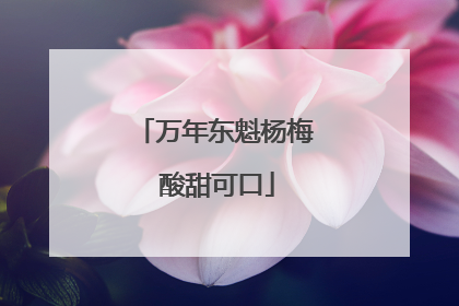 万年东魁杨梅 酸甜可口