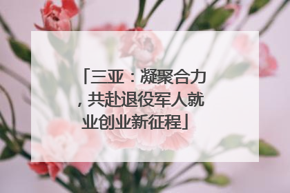 三亚：凝聚合力，共赴退役军人就业创业新征程