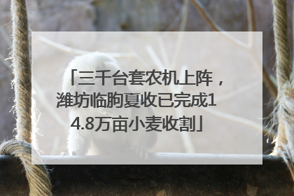 三千台套农机上阵，潍坊临朐夏收已完成14.8万亩小麦收割