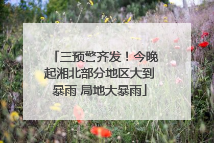 三预警齐发！今晚起湘北部分地区大到暴雨 局地大暴雨
