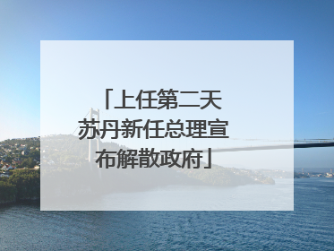 上任第二天 苏丹新任总理宣布解散政府