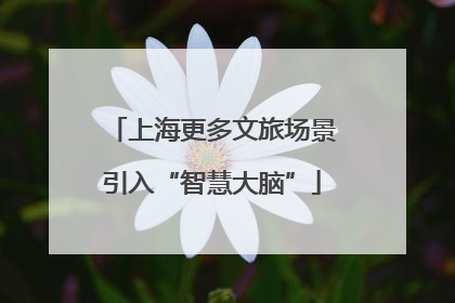 上海更多文旅场景引入“智慧大脑”