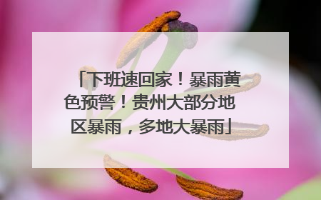 下班速回家！暴雨黄色预警！贵州大部分地区暴雨，多地大暴雨