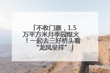 不收门票，1.5万平方米月季园爆火！一起去三好桥头看“龙凤呈祥”