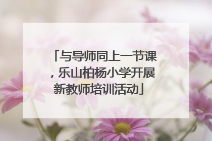 与导师同上一节课，乐山柏杨小学开展新教师培训活动
