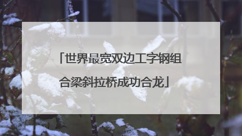 世界最宽双边工字钢组合梁斜拉桥成功合龙