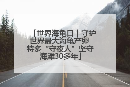 世界海龟日丨守护世界最大海龟产卵 特多“守夜人”坚守海滩30多年