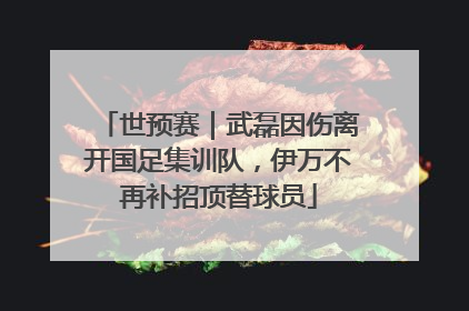 世预赛｜武磊因伤离开国足集训队，伊万不再补招顶替球员