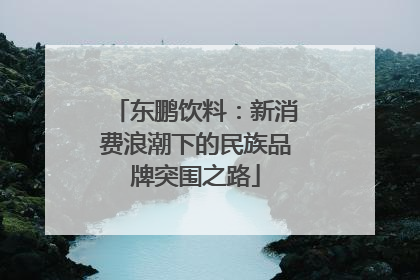 东鹏饮料：新消费浪潮下的民族品牌突围之路