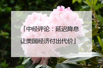 中经评论：延迟降息让美国经济付出代价