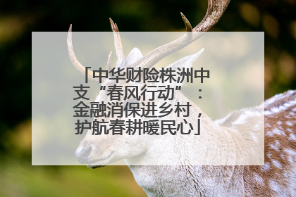 中华财险株洲中支“春风行动”：金融消保进乡村，护航春耕暖民心