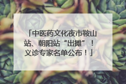 中医药文化夜市鞍山站、朝阳站“出摊”！义诊专家名单公布！