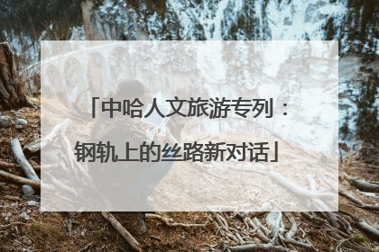 中哈人文旅游专列：钢轨上的丝路新对话
