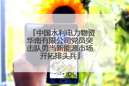 中国水利电力物资华南有限公司党员突击队勇当新能源市场开拓排头兵