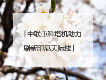 中联重科塔机助力刷新印尼天际线