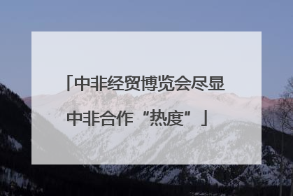 中非经贸博览会尽显中非合作“热度”