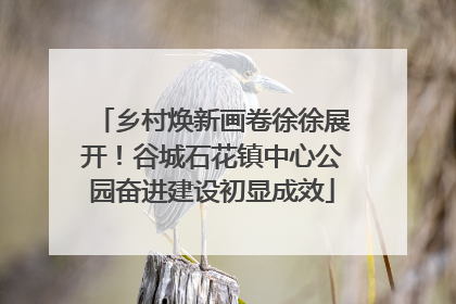 乡村焕新画卷徐徐展开！谷城石花镇中心公园奋进建设初显成效