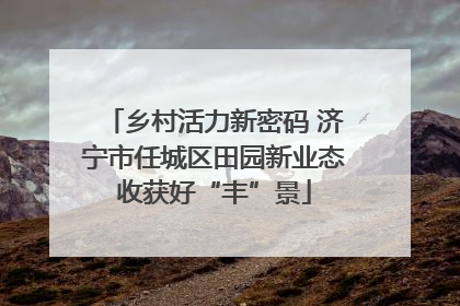 乡村活力新密码 济宁市任城区田园新业态收获好“丰”景