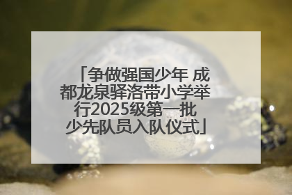 争做强国少年 成都龙泉驿洛带小学举行2025级第一批少先队员入队仪式