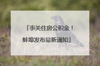 事关住房公积金！蚌埠发布最新通知