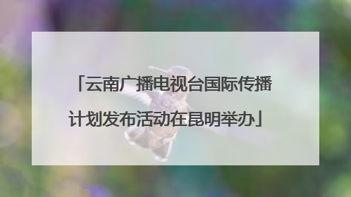 云南广播电视台国际传播计划发布活动在昆明举办