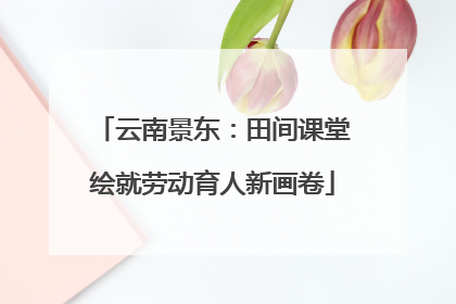 云南景东：田间课堂绘就劳动育人新画卷
