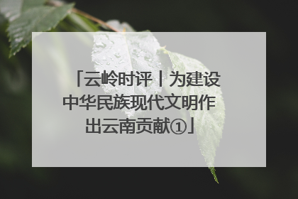 云岭时评丨为建设中华民族现代文明作出云南贡献①