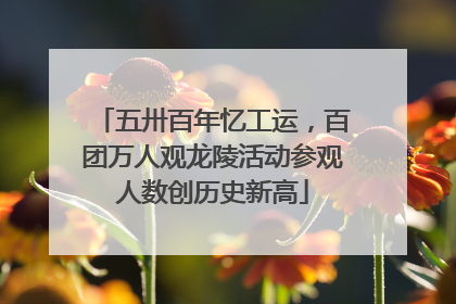 五卅百年忆工运，百团万人观龙陵活动参观人数创历史新高