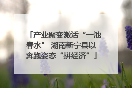 产业聚变激活“一池春水” 湖南新宁县以奔跑姿态“拼经济”
