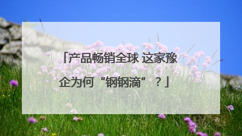产品畅销全球 这家豫企为何“钢钢滴”？