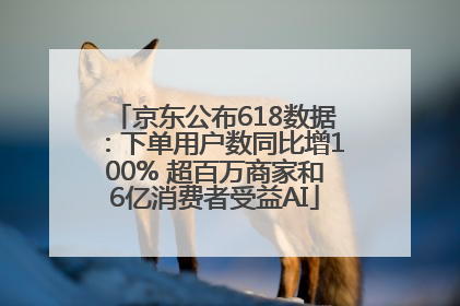 京东公布618数据：下单用户数同比增100% 超百万商家和6亿消费者受益AI
