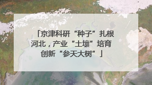 京津科研“种子”扎根河北，产业“土壤”培育创新“参天大树”