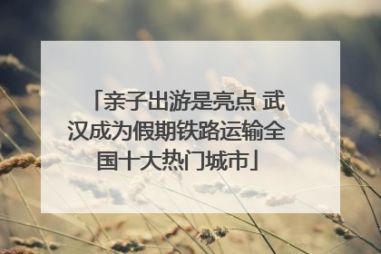 亲子出游是亮点 武汉成为假期铁路运输全国十大热门城市