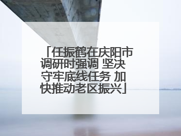 任振鹤在庆阳市调研时强调 坚决守牢底线任务 加快推动老区振兴