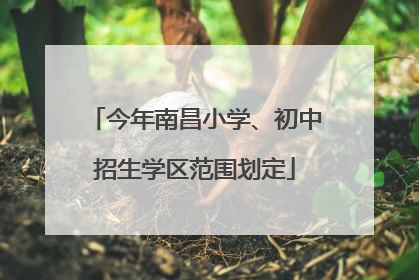 今年南昌小学、初中招生学区范围划定