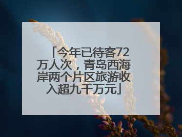 今年已待客72万人次，青岛西海岸两个片区旅游收入超九千万元