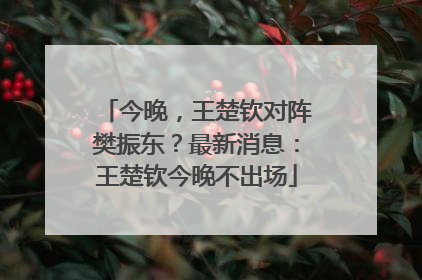 今晚，王楚钦对阵樊振东？最新消息：王楚钦今晚不出场