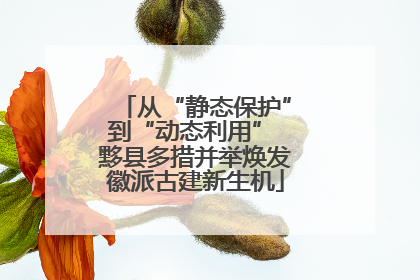 从“静态保护”到“动态利用” 黟县多措并举焕发徽派古建新生机