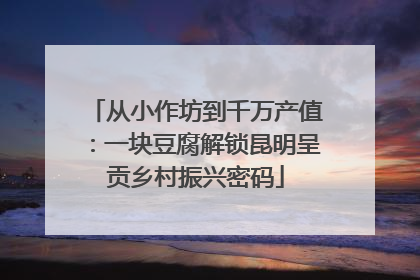 从小作坊到千万产值：一块豆腐解锁昆明呈贡乡村振兴密码