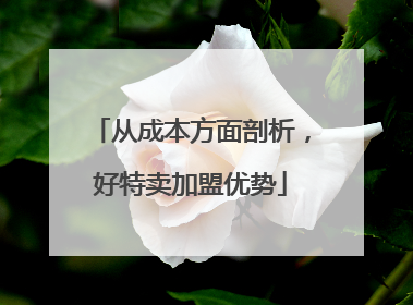从成本方面剖析，好特卖加盟优势