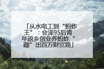 从水电工到“蚂蚱王”：会泽95后青年返乡创业养蚂蚱“蹦”出百万财富路