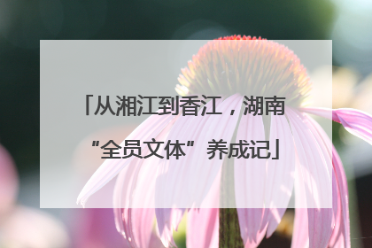 从湘江到香江，湖南“全员文体”养成记