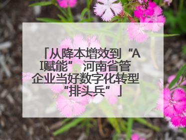 从降本增效到“AI赋能” 河南省管企业当好数字化转型“排头兵”